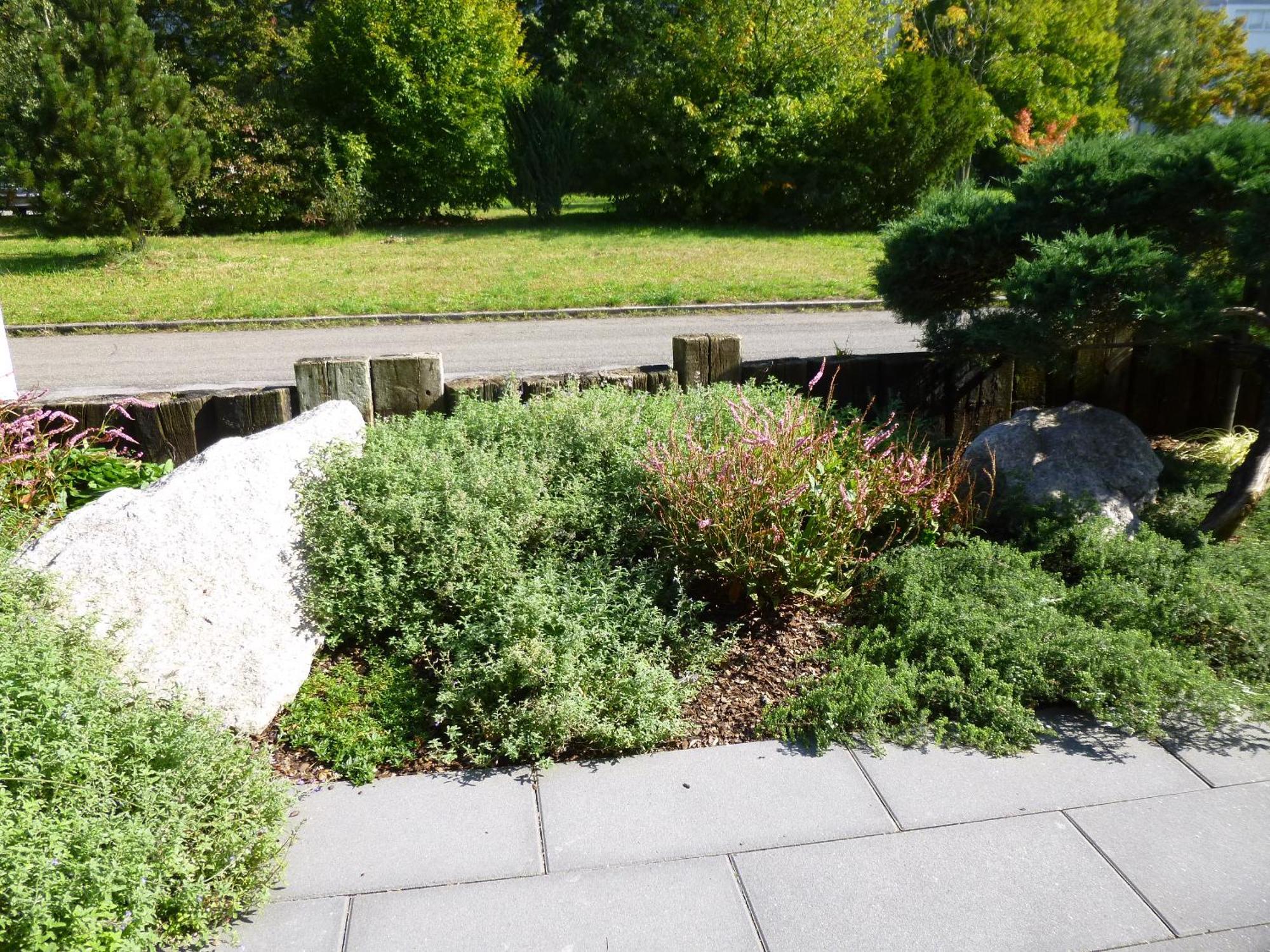 Ambiente In Karlsruhe City Ngoại thất bức ảnh